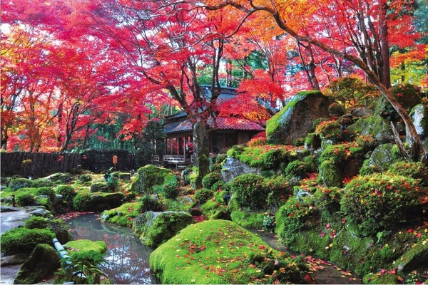 <滋賀>小堀遠州作名勝庭園 石の寺 教林坊秋の特別公開【垂水・名谷・西鈴蘭台出発】1